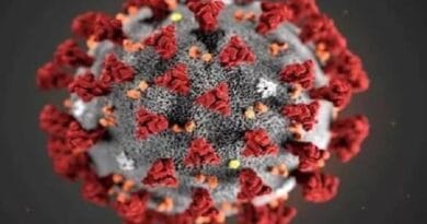 24 घंटे में कोरोना के 6,050 मरीज मिले, 14 मौतें; 7 महीने बाद डेली केस 6 हजार पार 6 corona updates, corona news case above 10 thousands, health updates, wednewsday corona updates