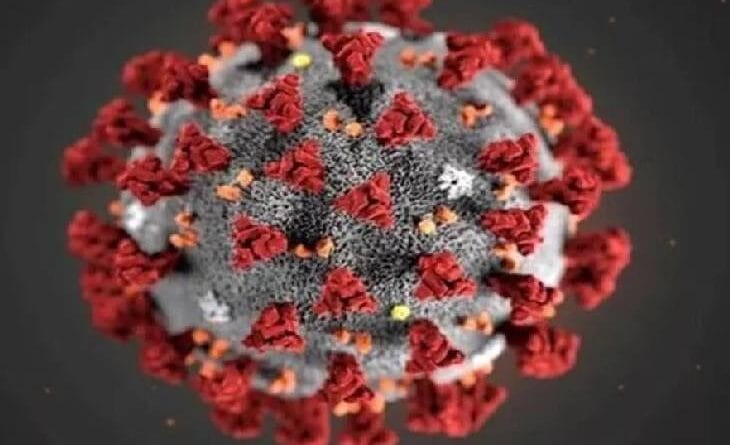 corona updates, corona news case above 10 thousands, health updates, wednewsday corona updates