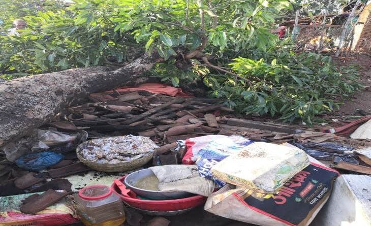 80 years old tree fell in Dhamtari, death of husband and wife, weather alert, weather news, yellow-orange alert in Chhattisgarh