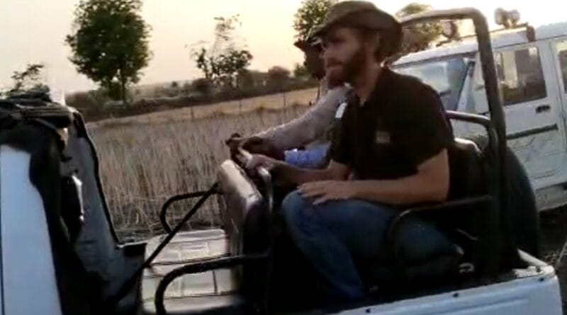 cheeta tranculised by south africa expert and bringed to kuno. kuno national park news