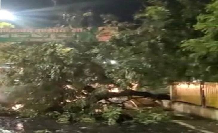 two colors of the season; Heavy rain in Indore, drizzle in Mandsaur-Ujjain; Temperature crossed 44 degree in Khajuraho, weather updates, weather news, MP weather news