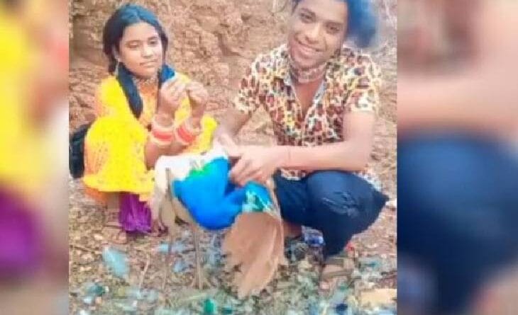 Reel made of national bird peacock's feathers, video viral; Forest department filed a case, viral vedio, DFO Katni