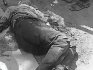 मुरैना में एक ही परिवार के 6 लोगों की गोली मार कर हत्या, 10 साल से रंजिश चल रही थी 2 5 people of the same family were shot dead in Morena, three serious; incident in old enmity, morena murder news, MLA ravindra singh, chambal murder case