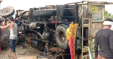 Mini truck fell in Datia river, 5 people including 3 children died, 12 injured; 54 laborers were going to the wedding in a truck, accident, datiya news, MP news