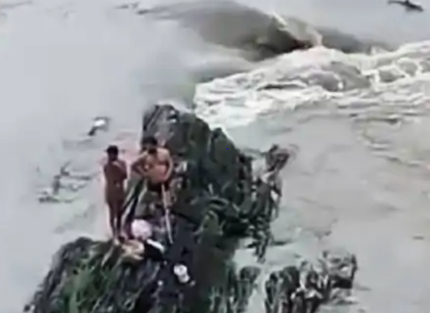 Four youths surrounded in Narmada river were rescued after 14 hours, had gone fishing, pulled out with the help of a rope, jabalpur news, mausam updates, weather updates, narmada flood