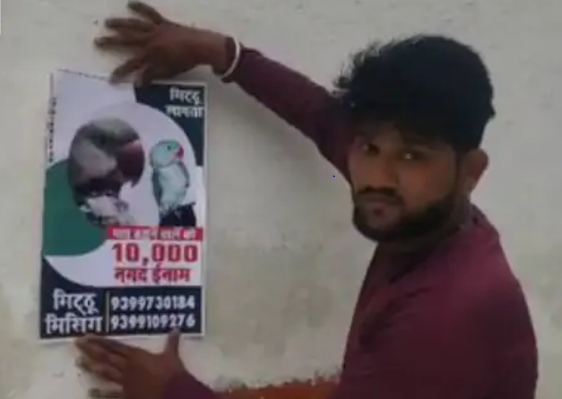 Announcement in search of Taete - reward of 10 thousand to the person who finds Mithu, posters pasted on the walls, damoh news, MP news, interesting news