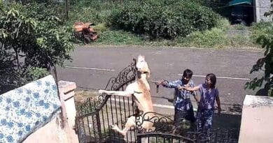 भोपाल में डॉग ट्रेनर ने कुत्ते को फंदे पर लटकाया, तड़पने के बाद दम तोड़ा; 3 के खिलाफ केस  3 Dog trainer hanged dog in Bhopal, died in agony; Case against 3, Dog murder, bhopal updates, MP news, kalluram news, today updates, bhopal updates, dog trainer murderd dog