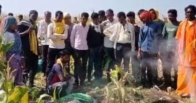 छिंदवाड़ा में तेंदुए ने किया महिला का शिकार, रात में खींचकर ले गया; सुबह मक्के के खेत में मिला शव 4 Leopard hunted woman in Chhindwara, dragged her away at night; Dead body found in corn field in the morning, wildlife news, chhindwada news, Mp news, leopard attack in chhindwada, तेंदुए ने युवती का शिकार किया