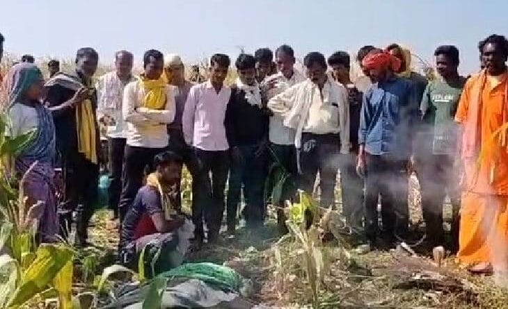 Leopard hunted woman in Chhindwara, dragged her away at night; Dead body found in corn field in the morning, wildlife news, chhindwada news, Mp news, leopard attack in chhindwada, तेंदुए ने युवती का शिकार किया