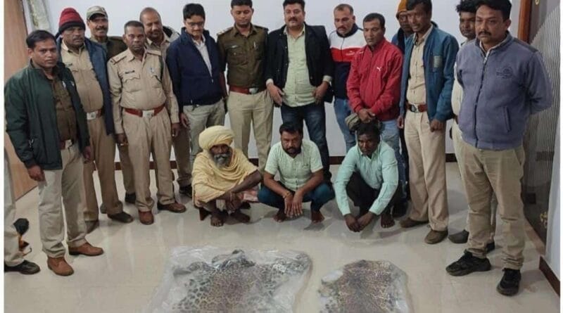 Three arrested in Chhindwara along with two leopard skins, were taking them for Dhanvarsha, chhindwara, forest department, kalluram news