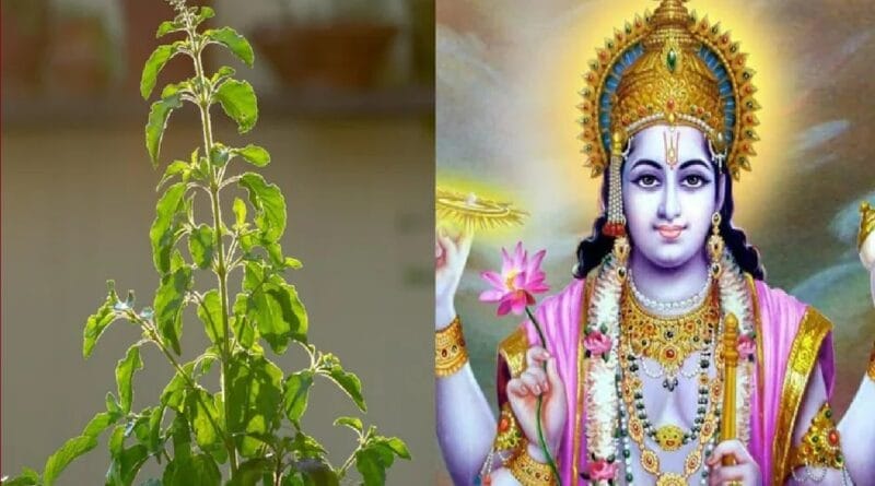 Shehnai will be played on Devuthani Ekadashi, weddings will not take place on Vasant Panchami-Akshay Tritiya, dev probdhini ekadashi, kalluram news, religion news, MP news