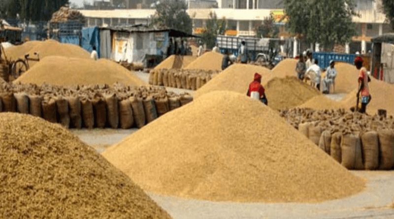 Traders took the decision to keep the grain market closed for 10 days; Farmers' problem - where will they sell their produce?, chhindwara, chhindwara mandi, kalluram news