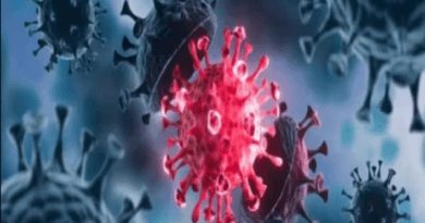 MP में भी कोरोना के नए वैरिएंट को लेकर अलर्ट, गाइडलाइन जारी; CM बोले- दिशा-निर्देशों का पालन करें 4 Third corona infected found in MP, now report from Norway to Jabalpur comes positive, corona new variant, kalluram news, corona updates, MP news, MP corona updates