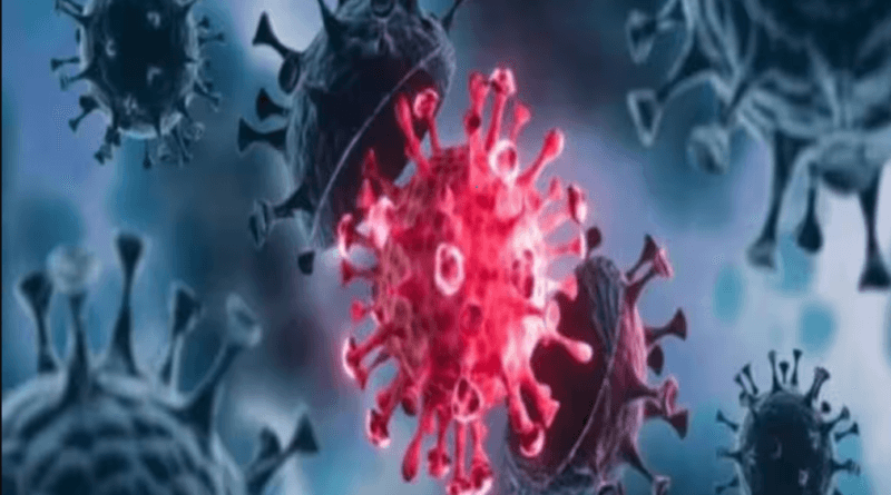 Third corona infected found in MP, now report from Norway to Jabalpur comes positive, corona new variant, kalluram news, corona updates, MP news, MP corona updates