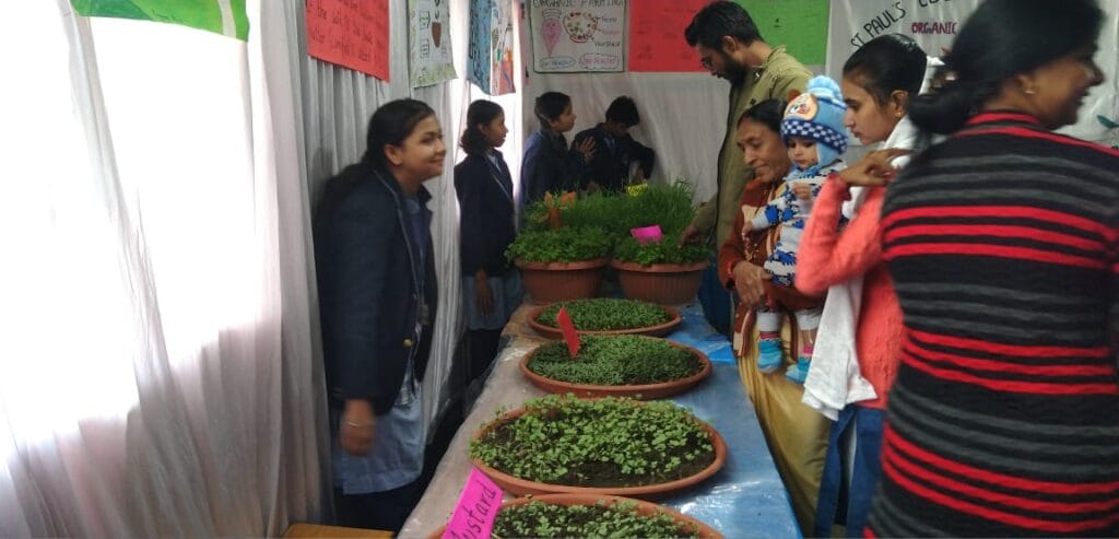 सेंट पॉल स्कूल में स्पेक्ट्रम गैलेरिया; कल्चर, पर्यावरण सेफ्टी, ऑर्गेनिक फार्मिंग, साइंस और IT से लेकर माइंड गेम मॉडल 6 Spectrum Galleria at St. Paul's School; From culture, environmental safety, organic farming, science and IT to mind game models, saint paul school, kalluram news, education news, bhopal