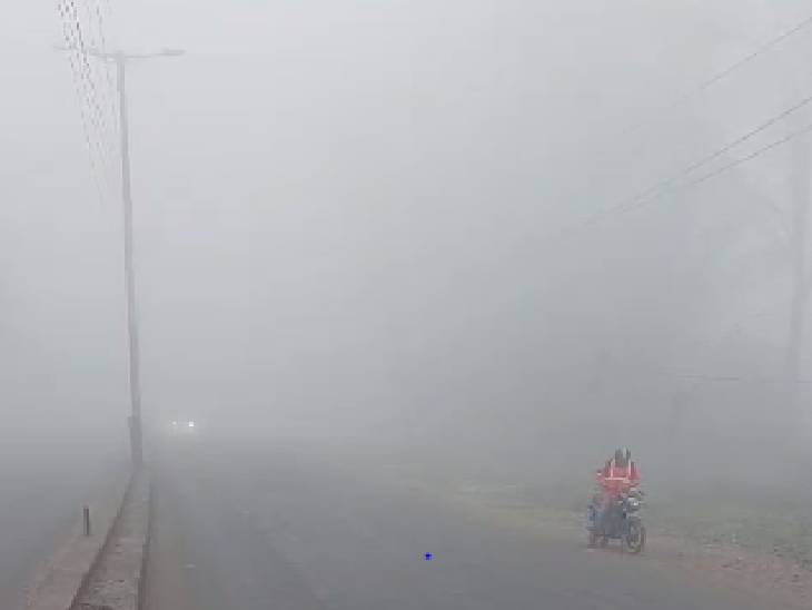 कड़ाके की ठंड से ठिठुरा MP, 5 शहरों में तापमान 5° से नीचे, दतिया-ग्वालियर सबसे ठंडे; ट्रेनें 2 से 4 घंटे लेट 2 MP shivers due to severe cold, temperature in 5 cities below 5°, Datia-Gwalior coldest; Trains late by 2 to 4 hours, sagar, bhopal, Mp weather, MP mausam, kalluram news