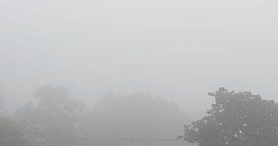 Rain in MP, Gwalior, Bhind, Raisen due to dense fog; Visibility less than 10 meters in Bhopal, mausam updates, today weather, weather updates, kalluram news, bhopal