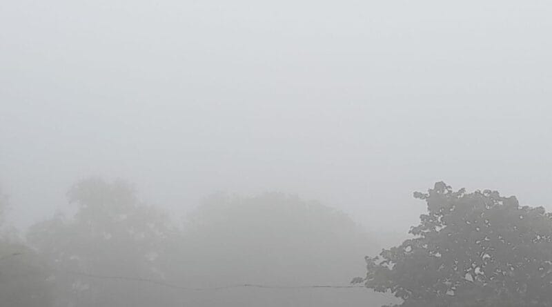 Rain in MP, Gwalior, Bhind, Raisen due to dense fog; Visibility less than 10 meters in Bhopal, mausam updates, today weather, weather updates, kalluram news, bhopal