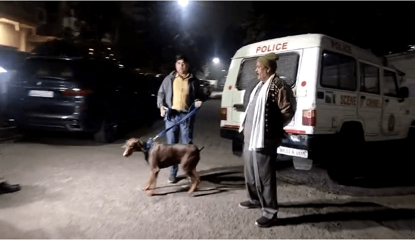भोपाल में ज्वेलर के घर एक करोड़ की लूट, महिला को चाकू अड़ाकर पीटा; तीन को पकड़ा 1 Jeweler's house worth Rs 1 crore looted in Bhopal, woman beaten with a knife; caught three, crime, kalluram news, robbery, bhopal
