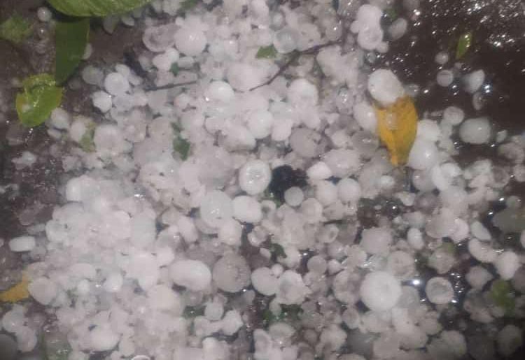 Rain-storm alert for three days in MP, hail fell in Jabalpur-Mandla, Seoni, Chhindwara; Heavy rain in Narmadapuram, Barish, Jabalpur, MP News, MP Weather Updates, Today Updates, Kalluram News