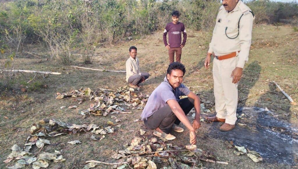 कटनी में सरपंच ने वनकर्मी को पीटा, पांच शिकारियों को चौकी से छुड़ा ले गया 1 Sarpanch beats forest worker in Katni, rescues five poachers from the post, Katni, Kalluram News, Crime