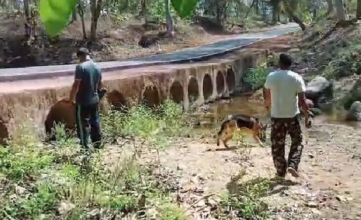 Voting on 6 Lok Sabha seats of MP today, more than 1 crore voters will decide the fate of 88 candidates, Loksabha Election 2024, Kalluram News, Election, Today Updates, Politics