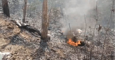 While performing a stunt in Jabalpur, bike caught fire after hitting a tree, student burnt to death, Jabalpur, Kalluram News, Accident, Death
