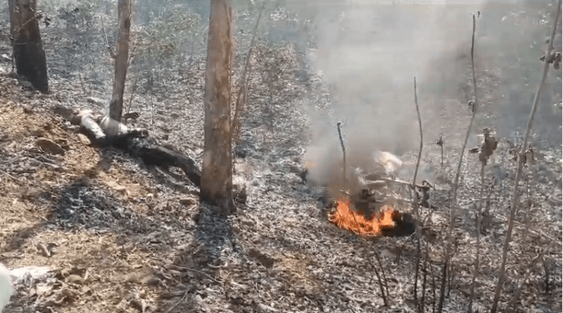 While performing a stunt in Jabalpur, bike caught fire after hitting a tree, student burnt to death, Jabalpur, Kalluram News, Accident, Death
