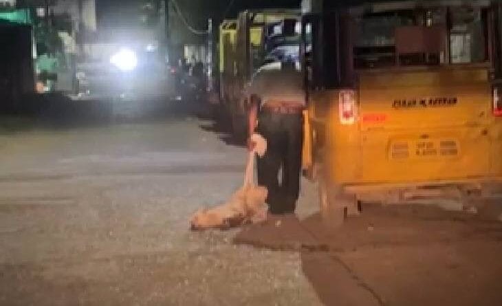 In Jabalpur, a street dog was dragged by tying its legs, killed by drowning it in a drain, and told people that the police would take 50 rupees and release it, Jabalpur, Dog Murder, Kalluram News, Crime