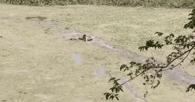 Dead body of youth missing for 5 days found in Jabalpur, family alleges negligence, Jabalpur, Crime, Deadbody, Kalluram News