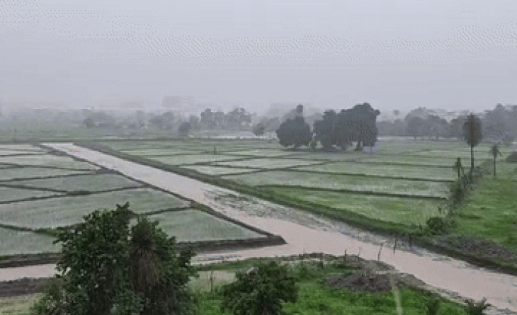 House collapsed in Niwari due to heavy rains, couple and two children buried; Water entered houses and shops in Ratlam-Raisen, intermittent rain in Bhopal, Madhya pradesh Weather, Kalluram News, Today Updates, Monsoon Updates, Weather News