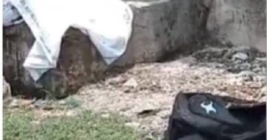 बैग में मिली ढाई साल के मासूम लाश, ग्वालियर में हत्या कर हाथ-पैर बांधकर फेंका; सिर पर चोट के निशान 3 Two and a half year old innocent body found in a bag, murdered and thrown with tied hands and legs in Gwalior; injury marks on head, Gwalior, Kalluram News, Today Updates, Crime, Murder