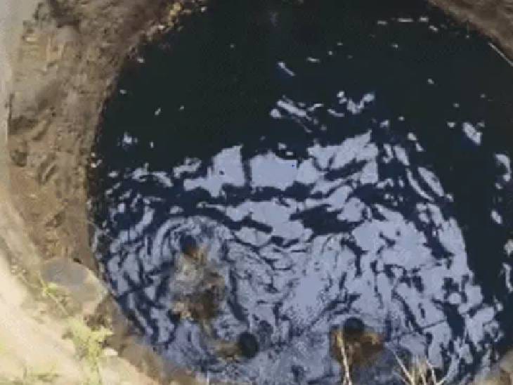 मंदसौर में महिला ने चार बच्चों समेत कुएं में लगाई छलांग, चारों बच्चों की मौत; पति से झगड़े के बाद कूदी थी 1 In Mandsaur, a woman jumped into a well along with four children, all four children died; Had jumped after a fight with her husband, Mandsaur, Kalluram News, Today Updates, Crime, Today News, MP News