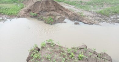 The pond in Sironj became a victim of corruption, burst in the first rain; crop failure, Vidisha, Sironj News, Kalluram News, Today Updates, Corruption