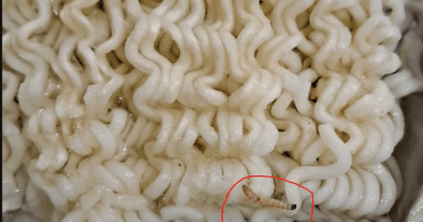 जबलपुर में मैगी नूडल्स में जिंदा कीड़े, कंज्यूमर फोरम में शिकायत; कहा-पानी में नूडल्स डालते ही तैरने लगे कीड़े 3 Live Insects In Maggi Noodles In Jabalpur