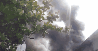 Fire broke out in Bhopal's chemical factory due to short circuit