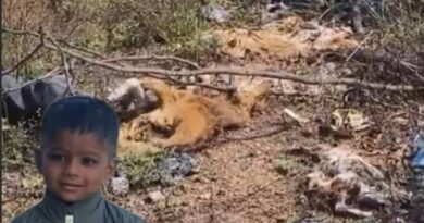 Child dies 25 days after dog bite In Datia