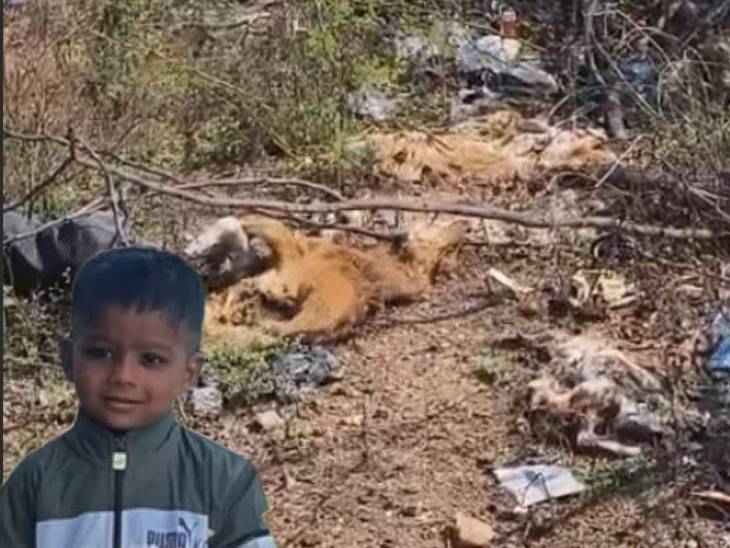 Child dies 25 days after dog bite In Datia